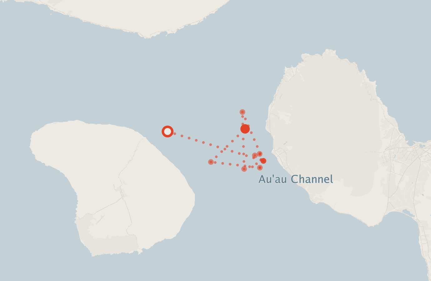 Activity map — real sighting points on an OpenStreetMap basemap