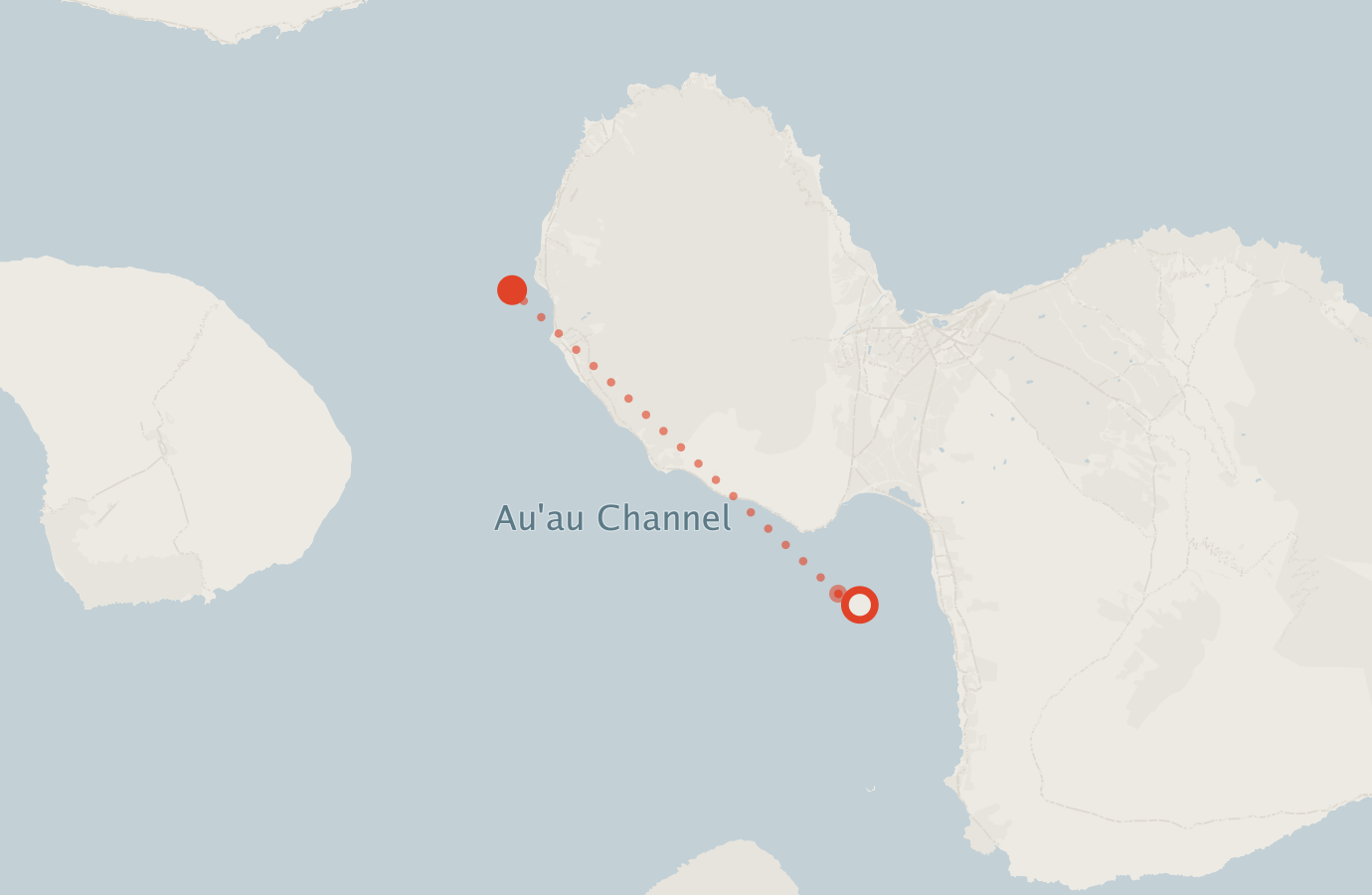 Activity map — real sighting points on an OpenStreetMap basemap