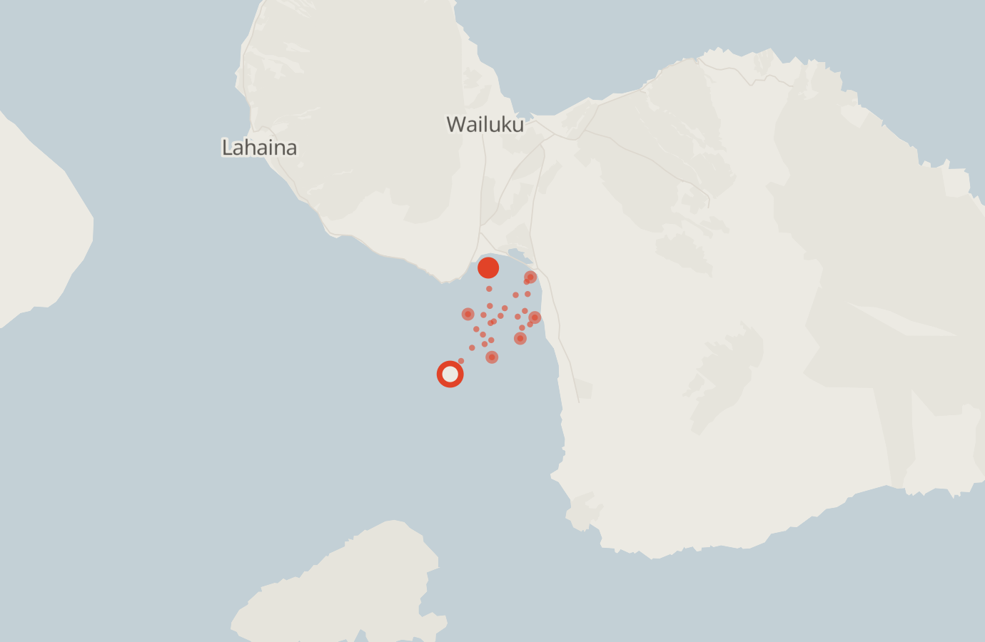 Activity map — real sighting points on an OpenStreetMap basemap