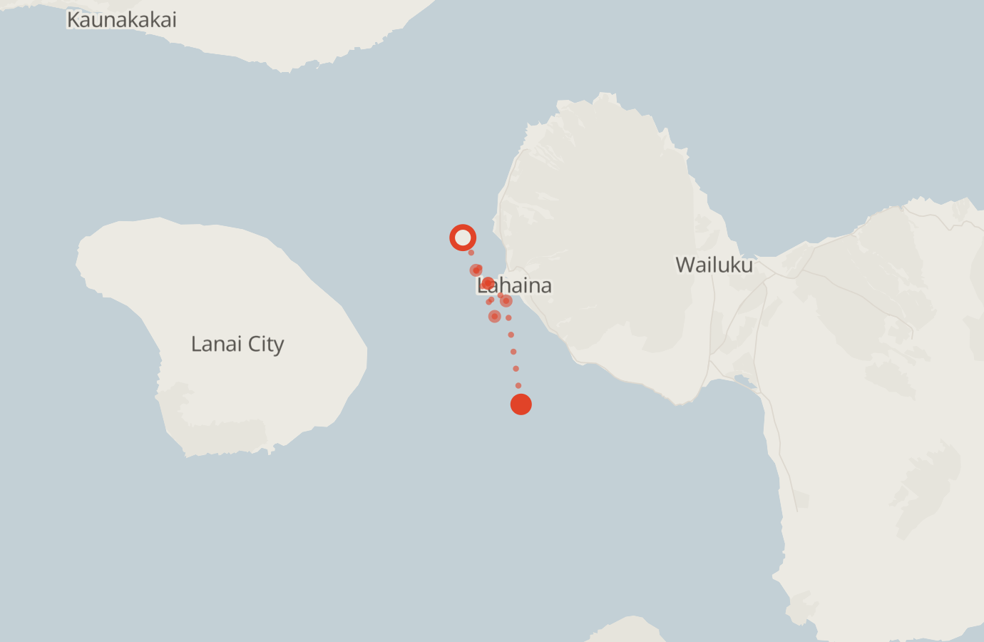 Activity map — real sighting points on an OpenStreetMap basemap