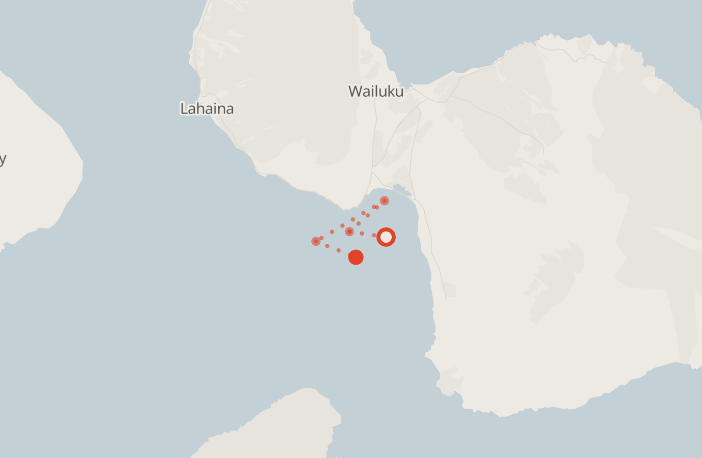 Activity map — real sighting points on an OpenStreetMap basemap