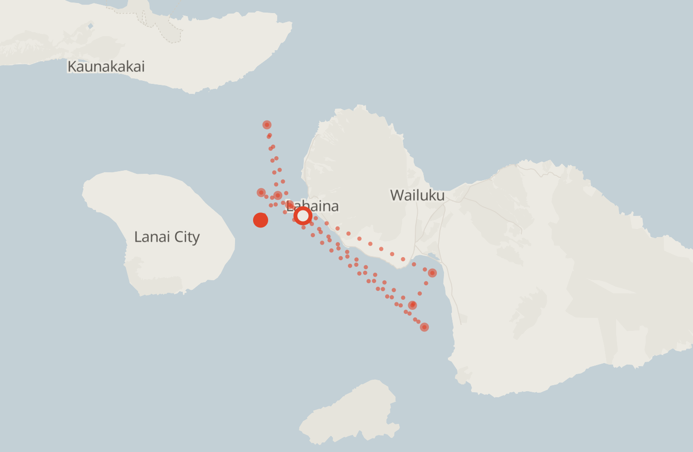 Activity map — real sighting points on an OpenStreetMap basemap