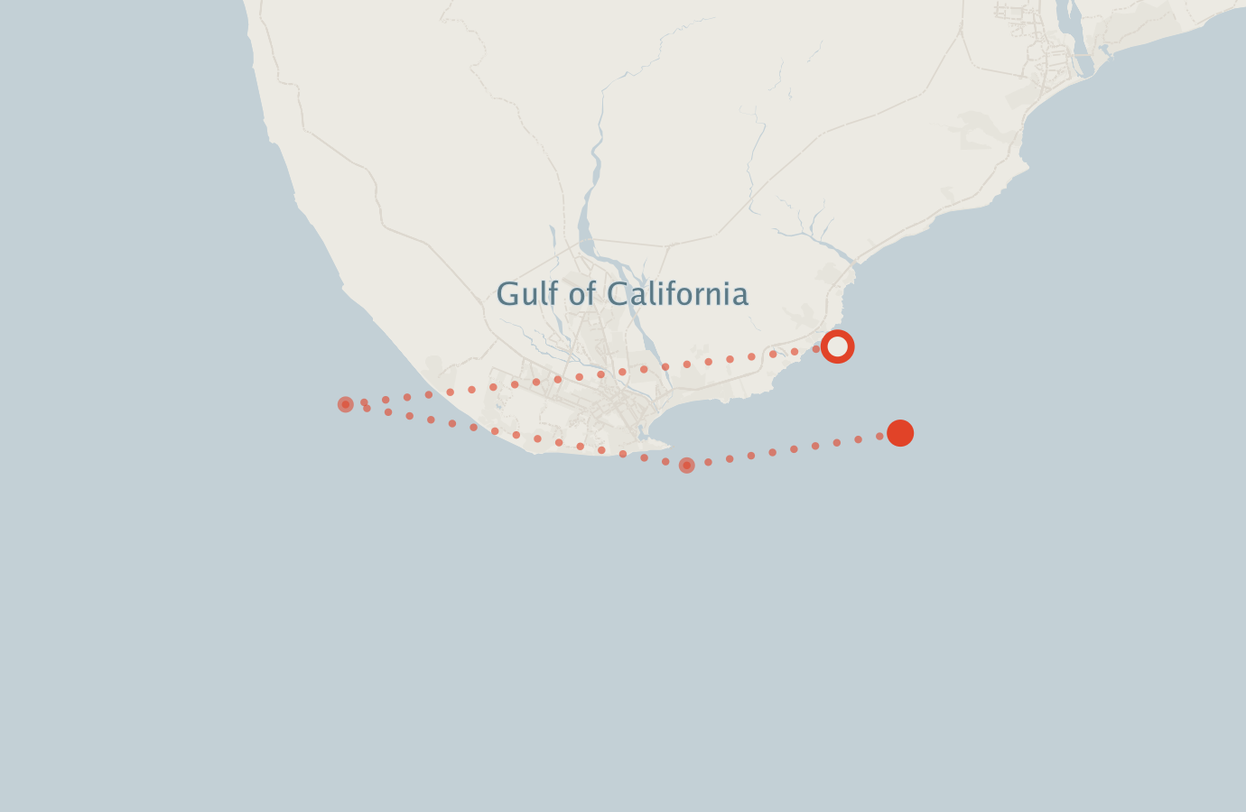 Activity map — real sighting points on an OpenStreetMap basemap