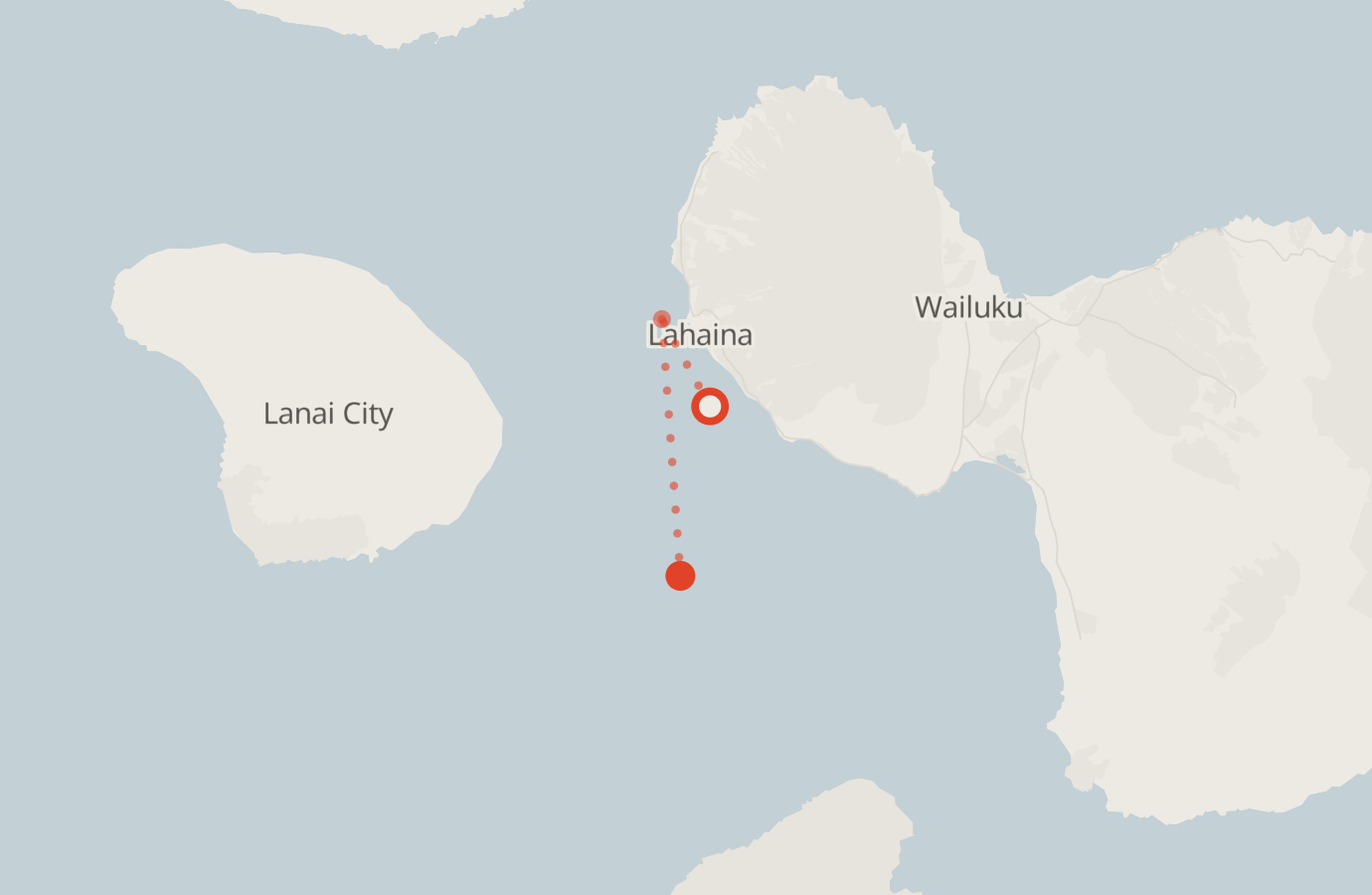 Activity map — real sighting points on an OpenStreetMap basemap