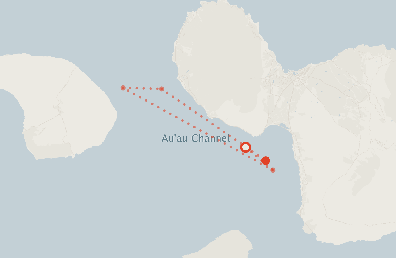 Activity map — real sighting points on an OpenStreetMap basemap
