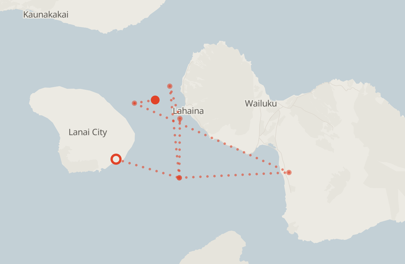 Activity map — real sighting points on an OpenStreetMap basemap