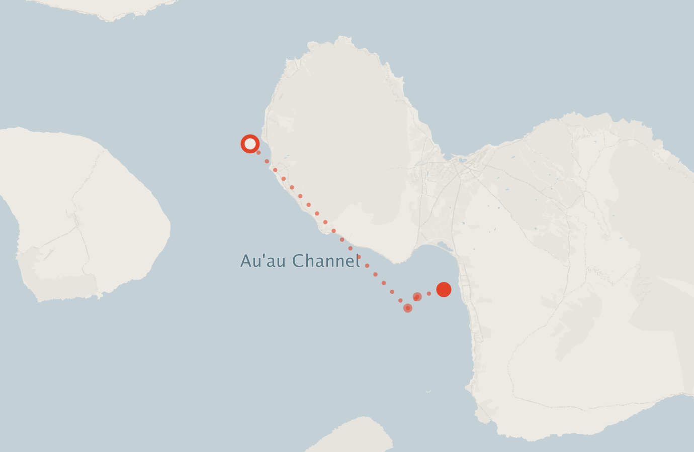 Activity map — real sighting points on an OpenStreetMap basemap