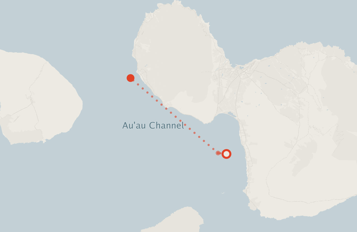 Activity map — real sighting points on an OpenStreetMap basemap