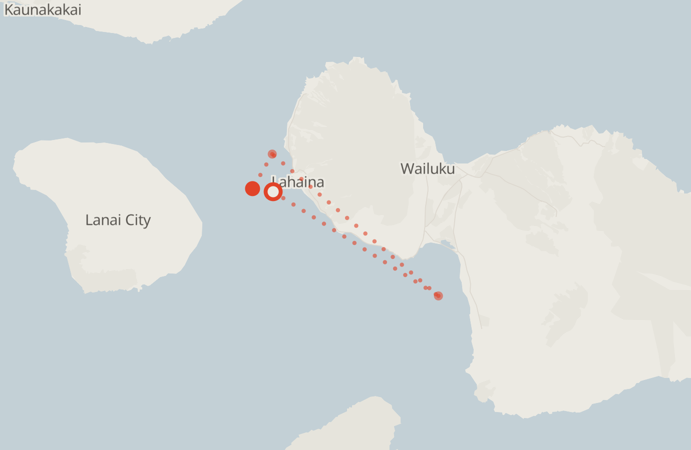 Activity map — real sighting points on an OpenStreetMap basemap