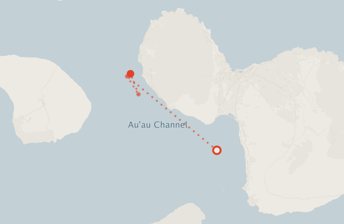Activity map — real sighting points on an OpenStreetMap basemap