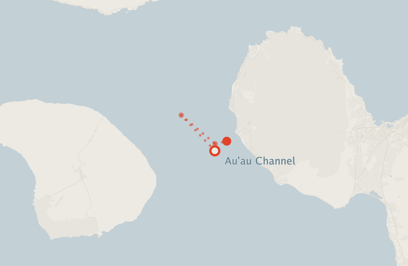 Activity map — real sighting points on an OpenStreetMap basemap