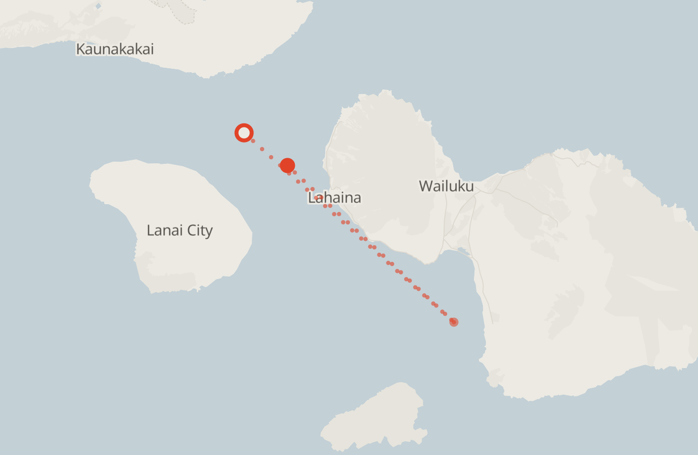 Activity map — real sighting points on an OpenStreetMap basemap