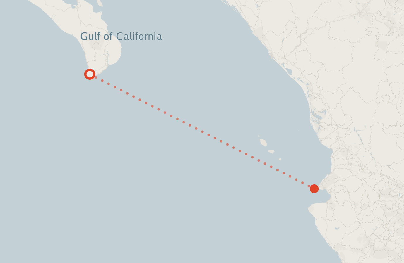 Activity map — real sighting points on an OpenStreetMap basemap