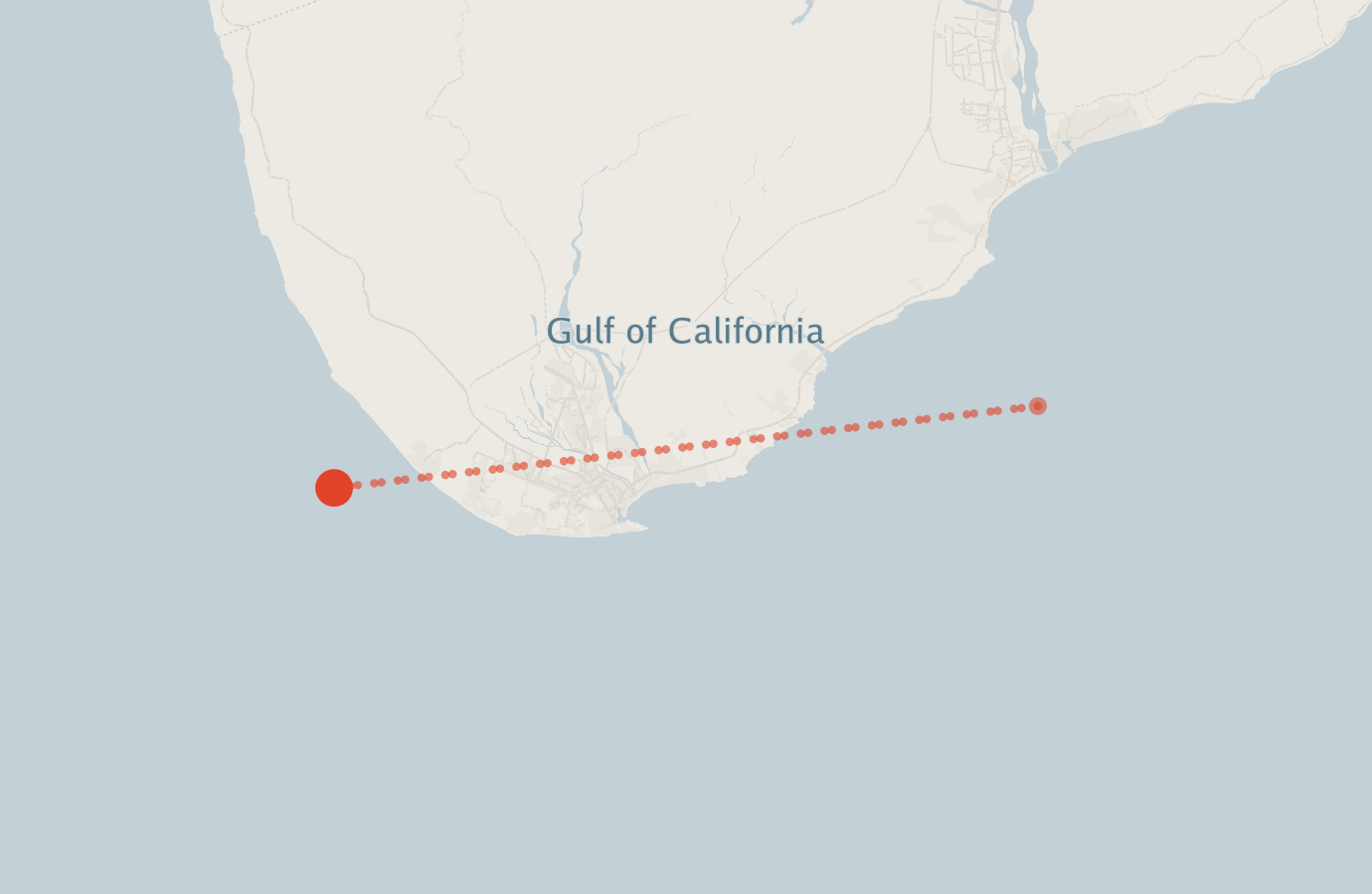 Activity map — real sighting points on an OpenStreetMap basemap