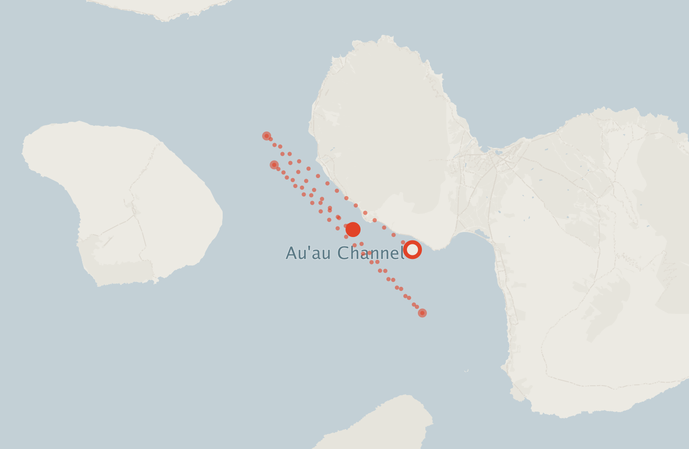 Activity map — real sighting points on an OpenStreetMap basemap