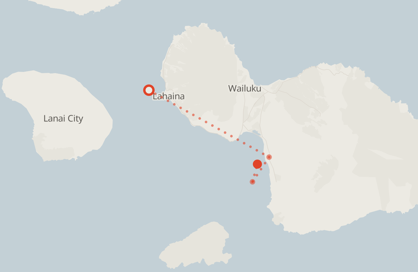 Activity map — real sighting points on an OpenStreetMap basemap