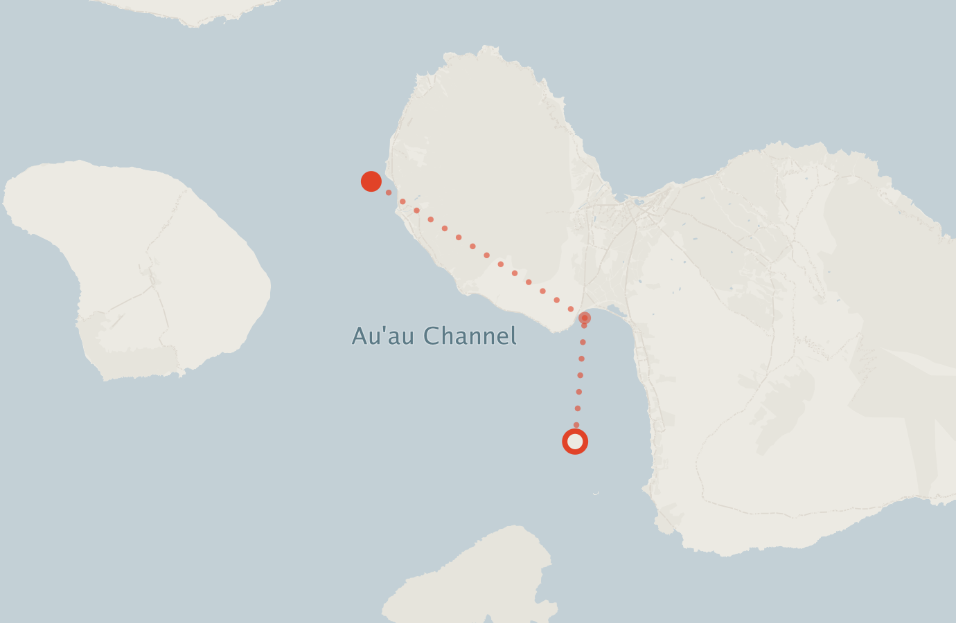 Activity map — real sighting points on an OpenStreetMap basemap