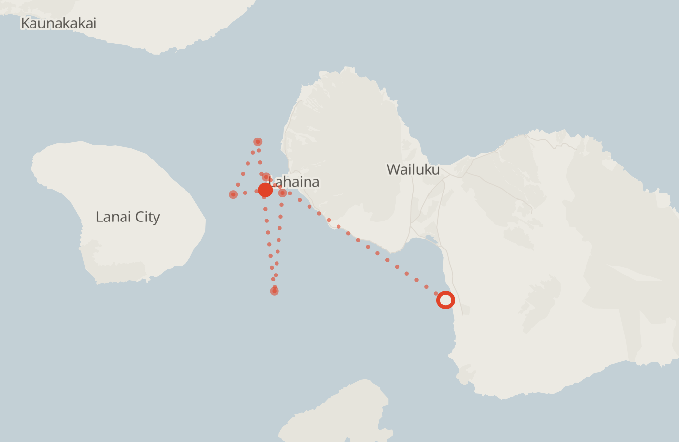 Activity map — real sighting points on an OpenStreetMap basemap