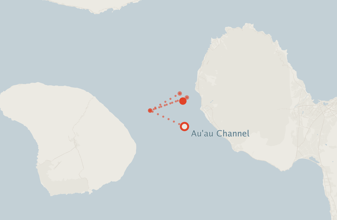 Activity map — real sighting points on an OpenStreetMap basemap