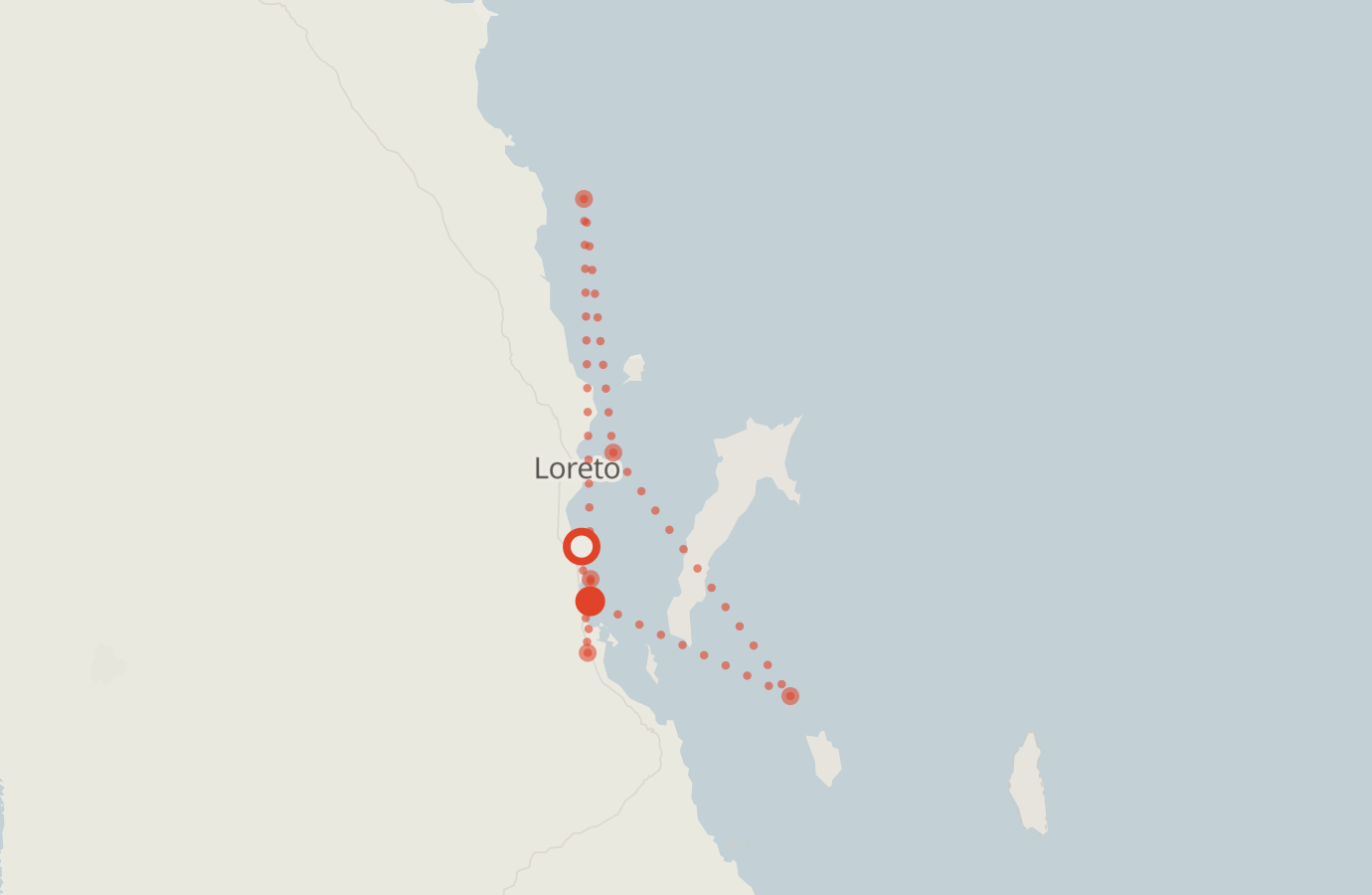 Activity map — real sighting points on an OpenStreetMap basemap