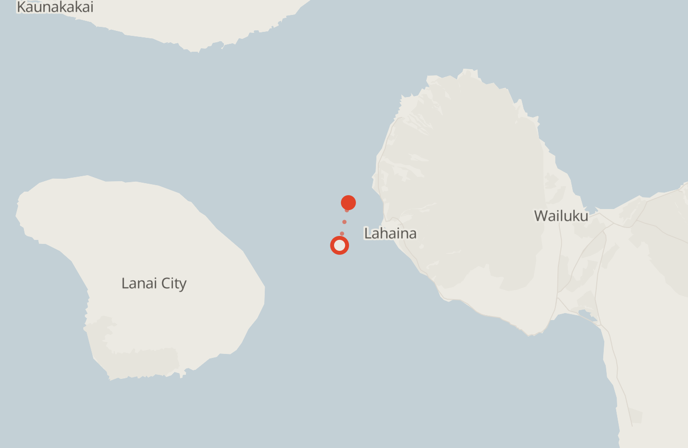 Activity map — real sighting points on an OpenStreetMap basemap