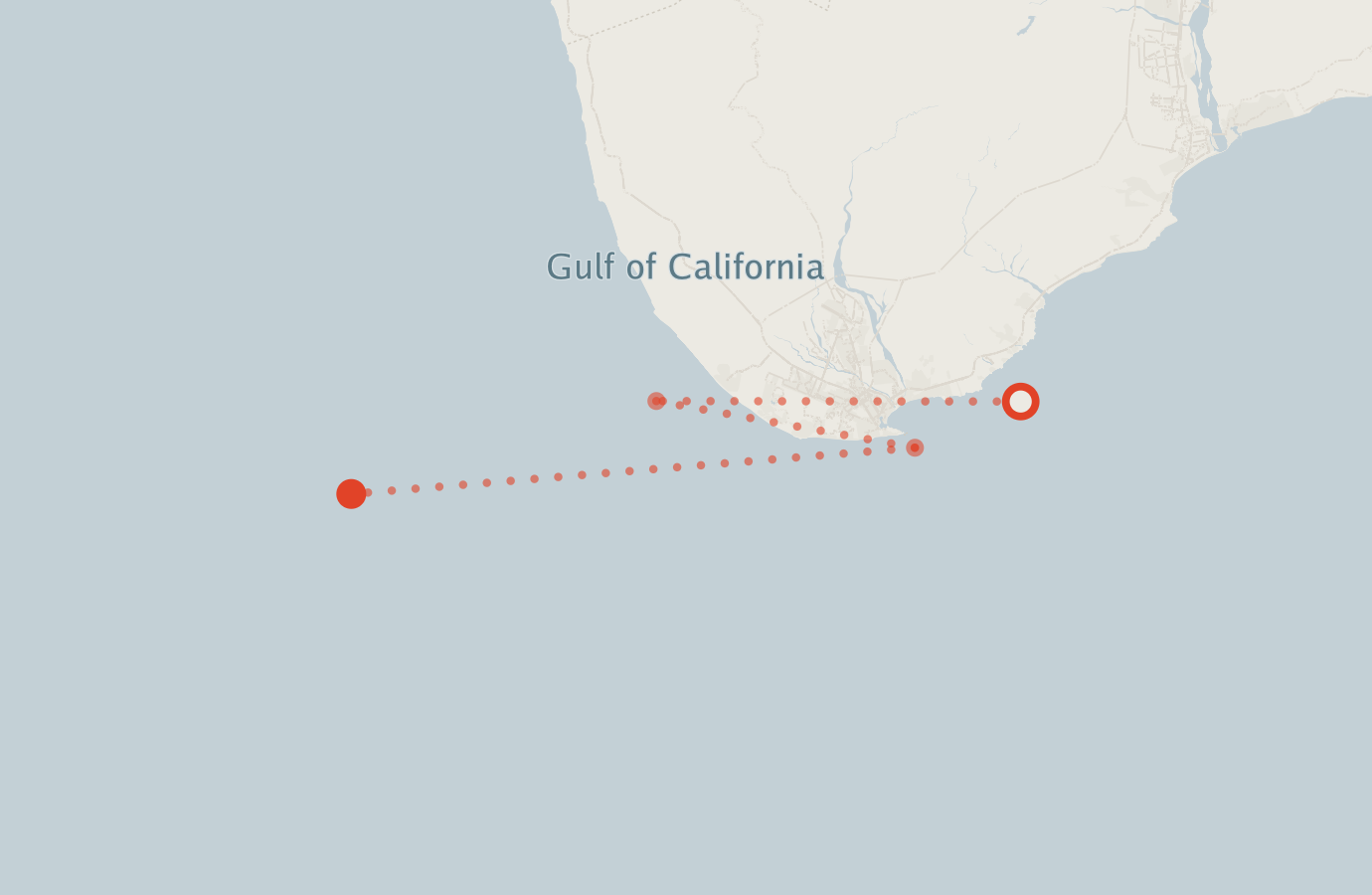 Activity map — real sighting points on an OpenStreetMap basemap