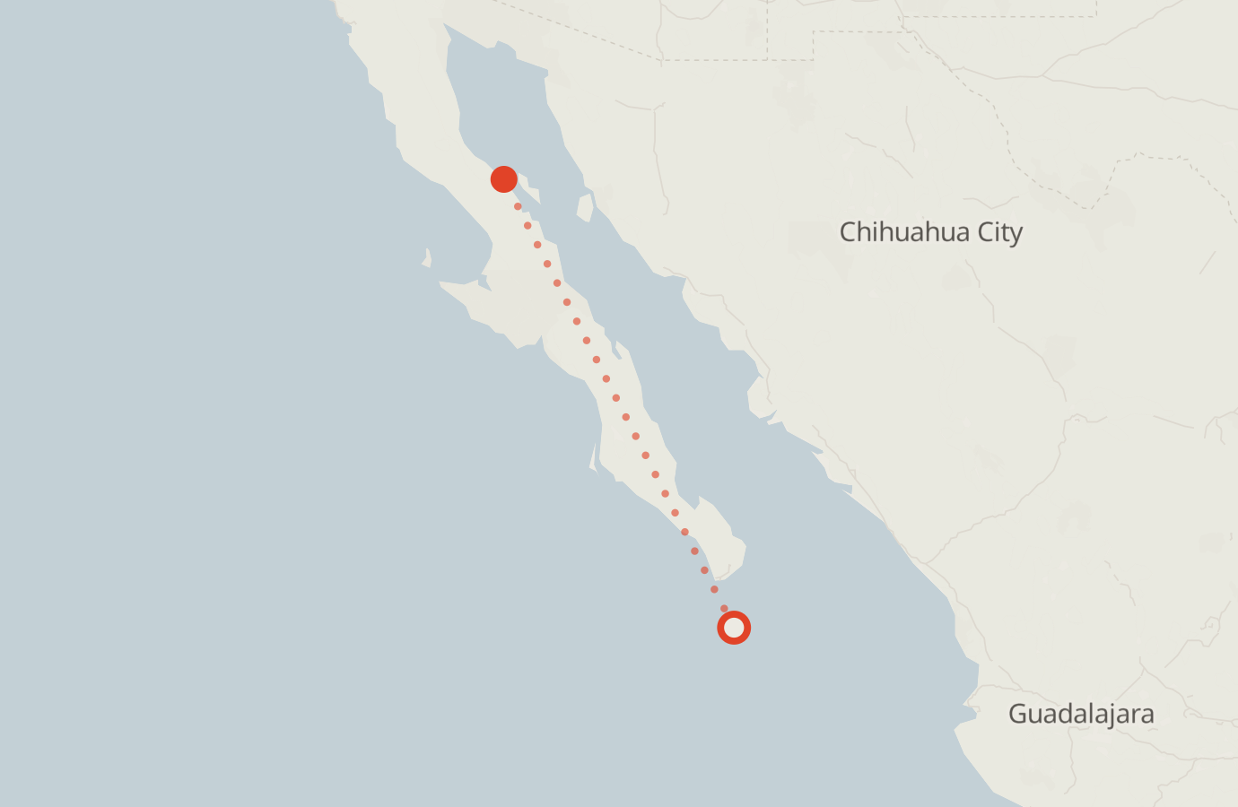 Activity map — real sighting points on an OpenStreetMap basemap