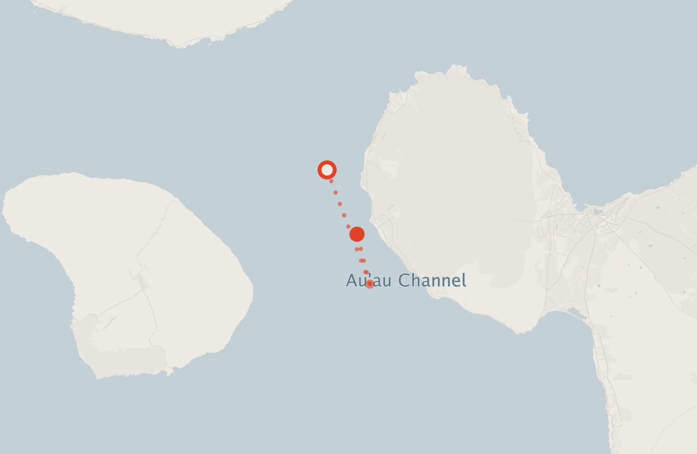 Activity map — real sighting points on an OpenStreetMap basemap