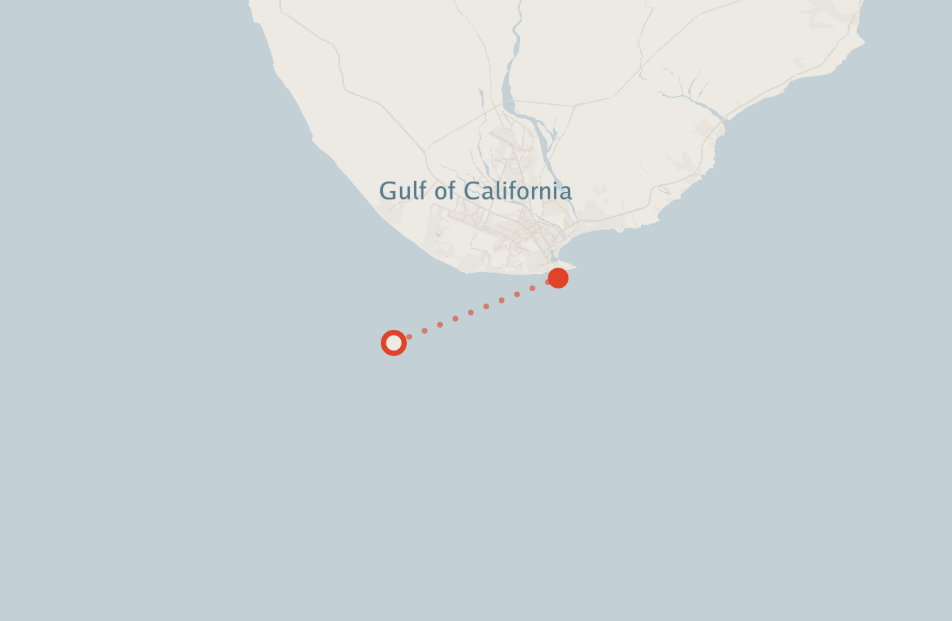 Activity map — real sighting points on an OpenStreetMap basemap