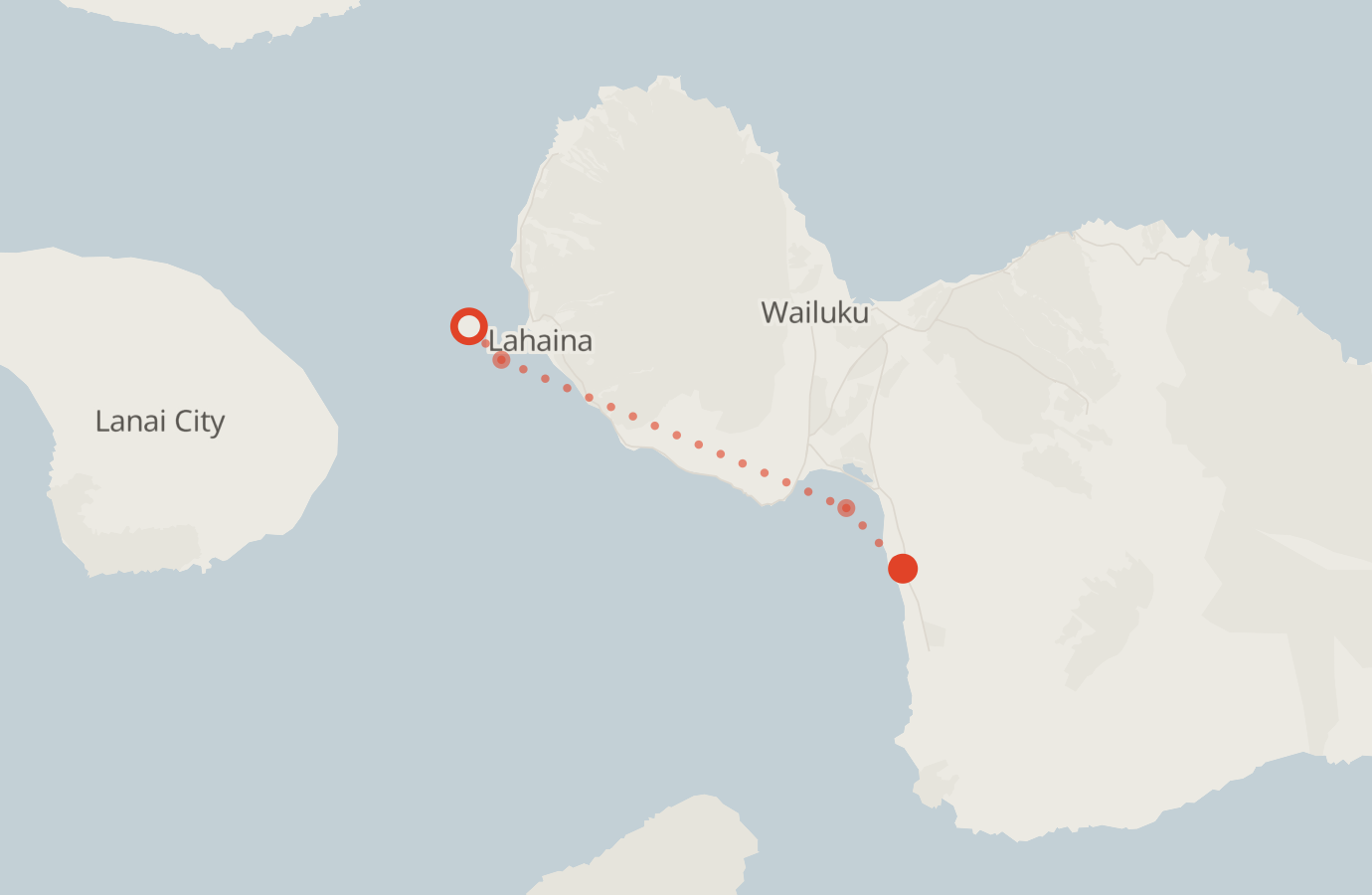 Activity map — real sighting points on an OpenStreetMap basemap