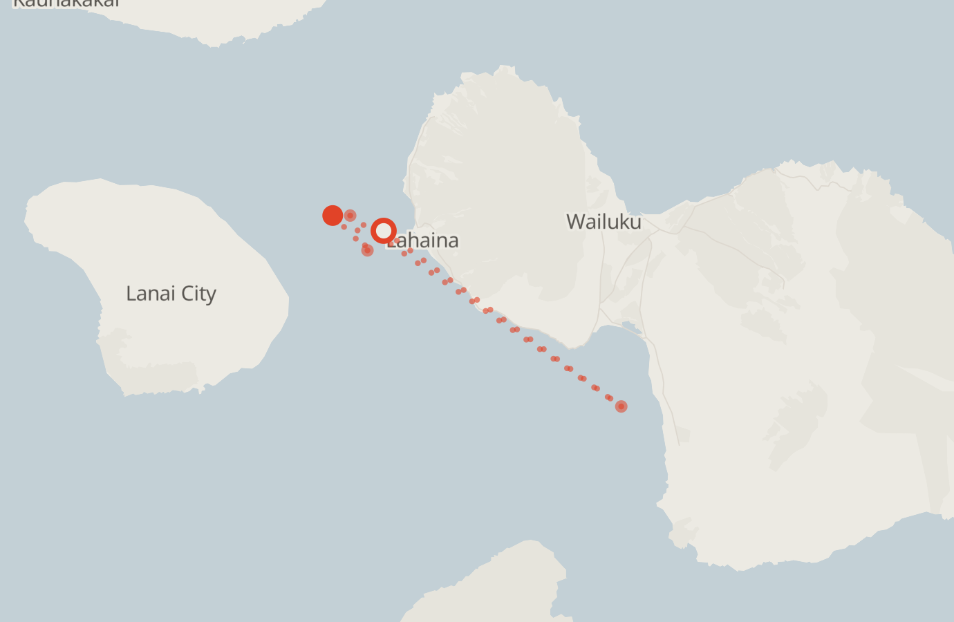 Activity map — real sighting points on an OpenStreetMap basemap