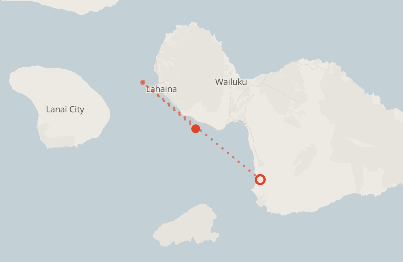 Activity map — real sighting points on an OpenStreetMap basemap