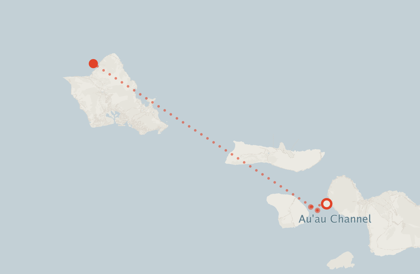 Activity map — real sighting points on an OpenStreetMap basemap