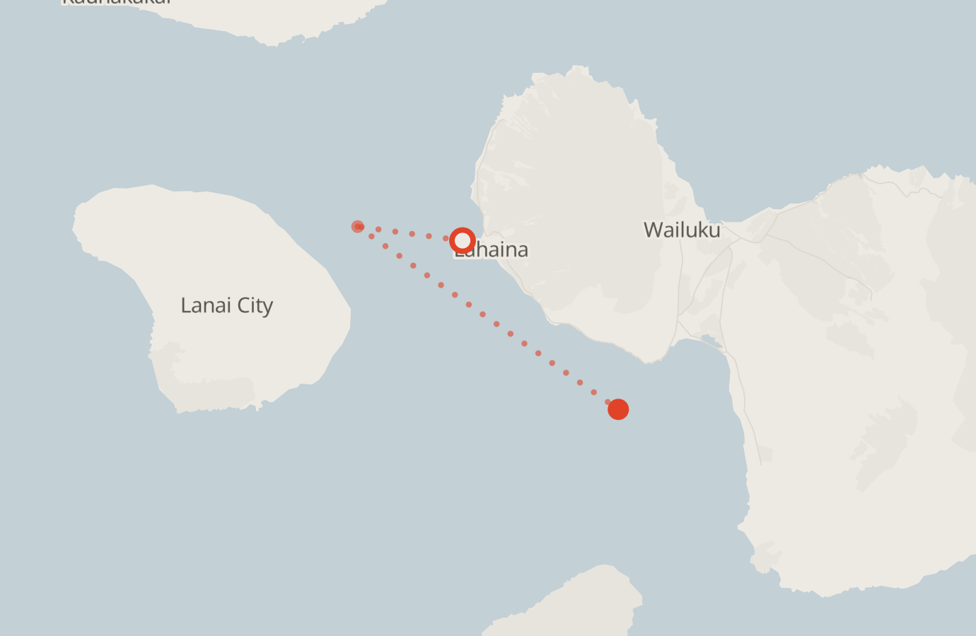 Activity map — real sighting points on an OpenStreetMap basemap