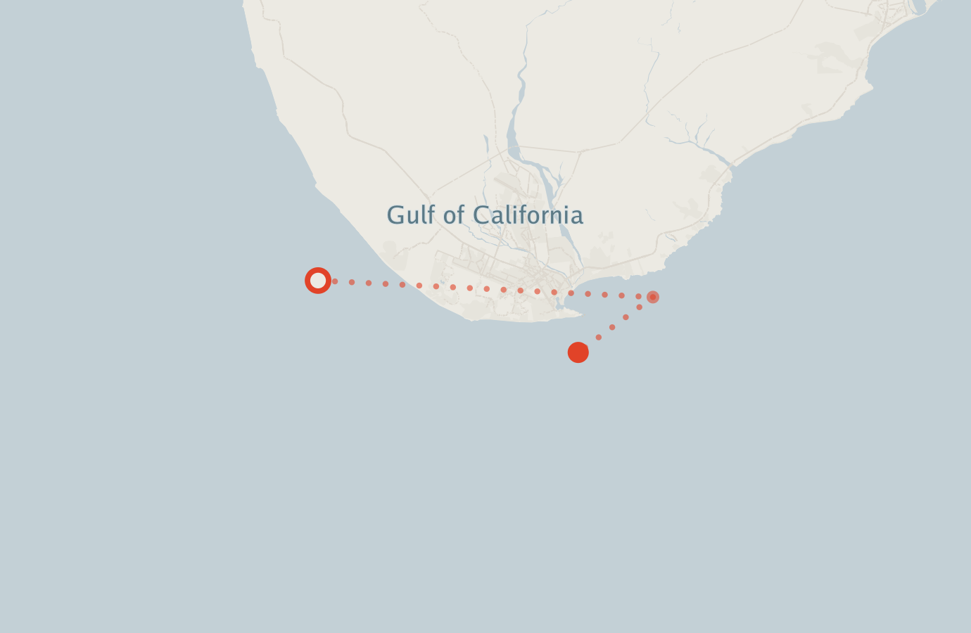 Activity map — real sighting points on an OpenStreetMap basemap