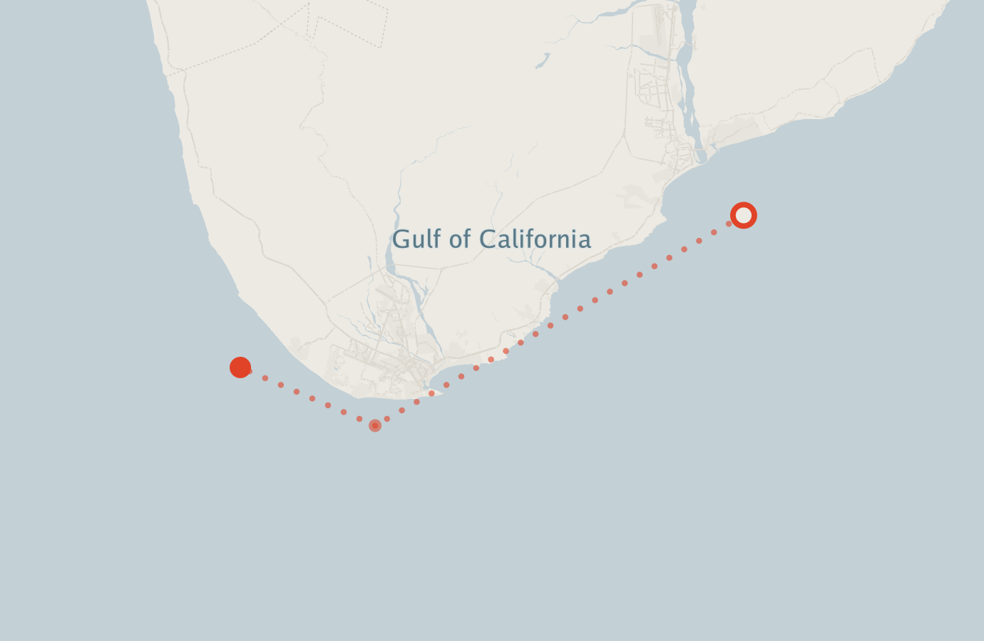 Activity map — real sighting points on an OpenStreetMap basemap