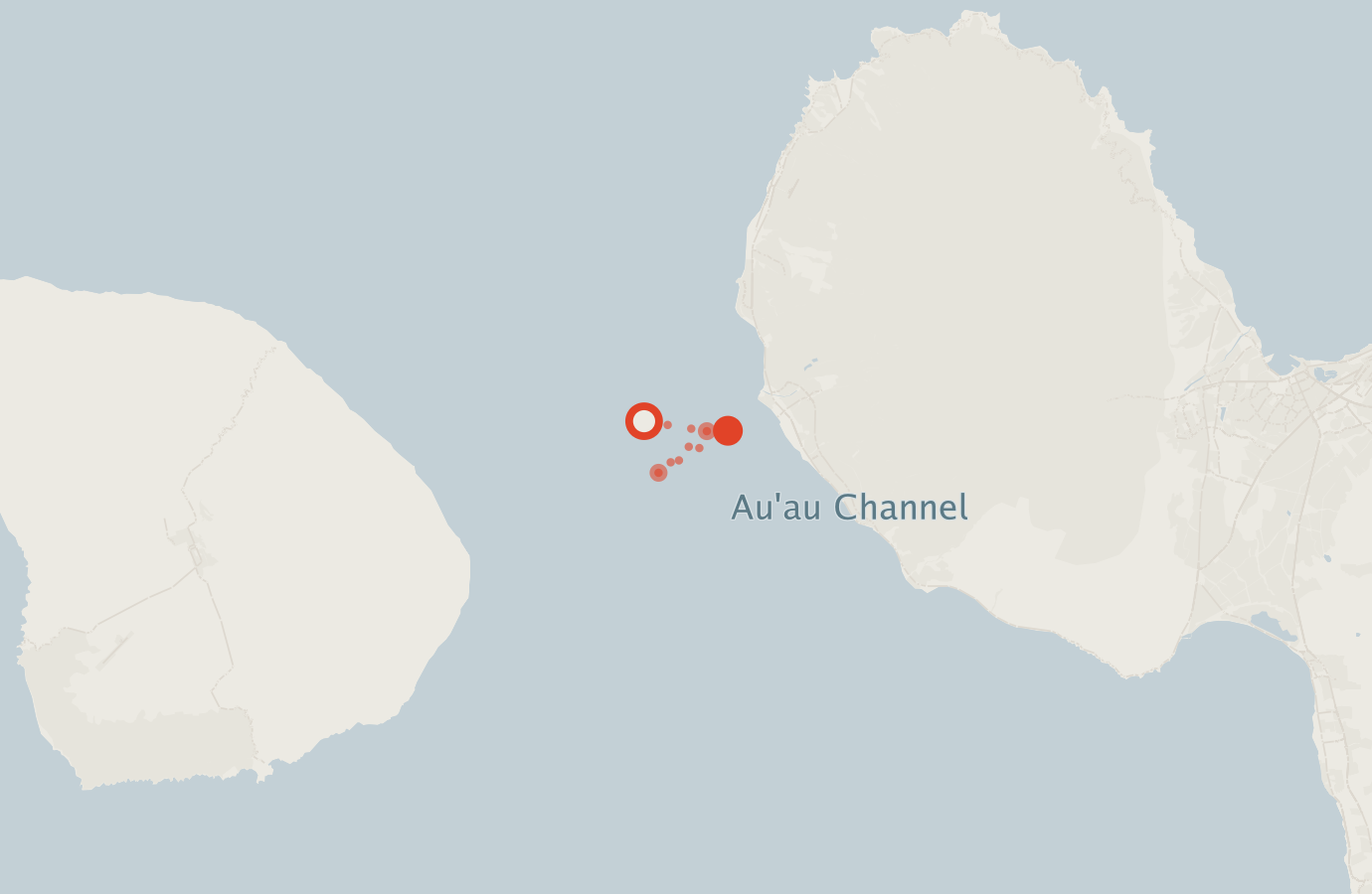 Activity map — real sighting points on an OpenStreetMap basemap