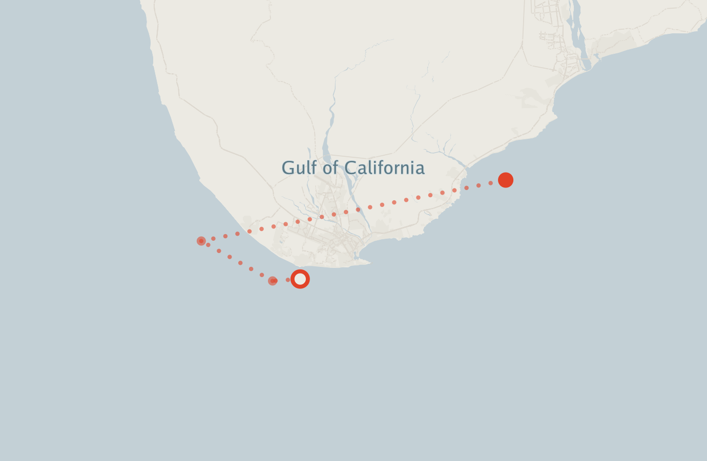 Activity map — real sighting points on an OpenStreetMap basemap