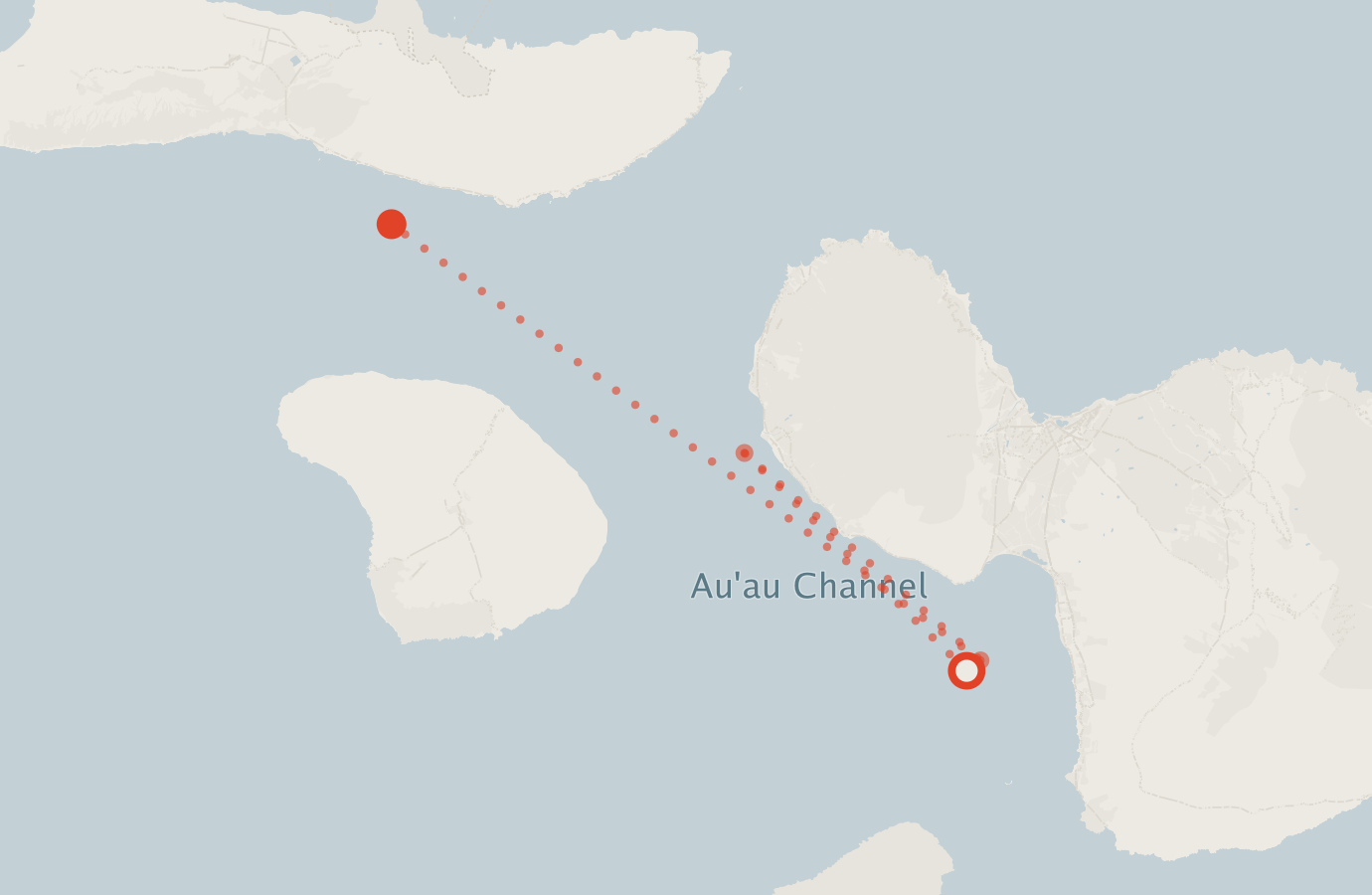 Activity map — real sighting points on an OpenStreetMap basemap