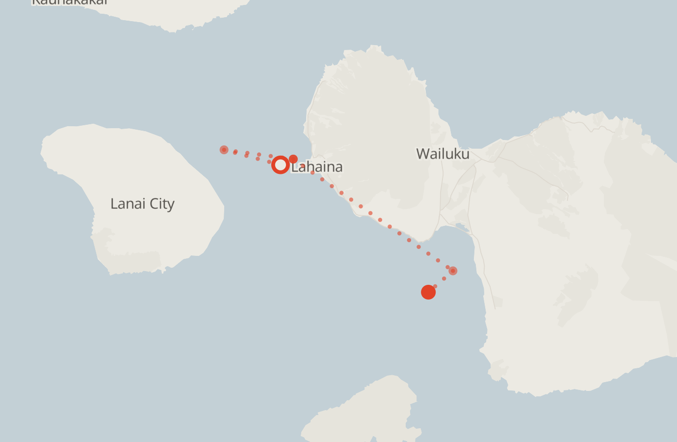 Activity map — real sighting points on an OpenStreetMap basemap