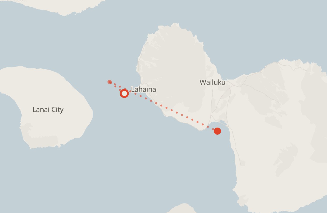 Activity map — real sighting points on an OpenStreetMap basemap