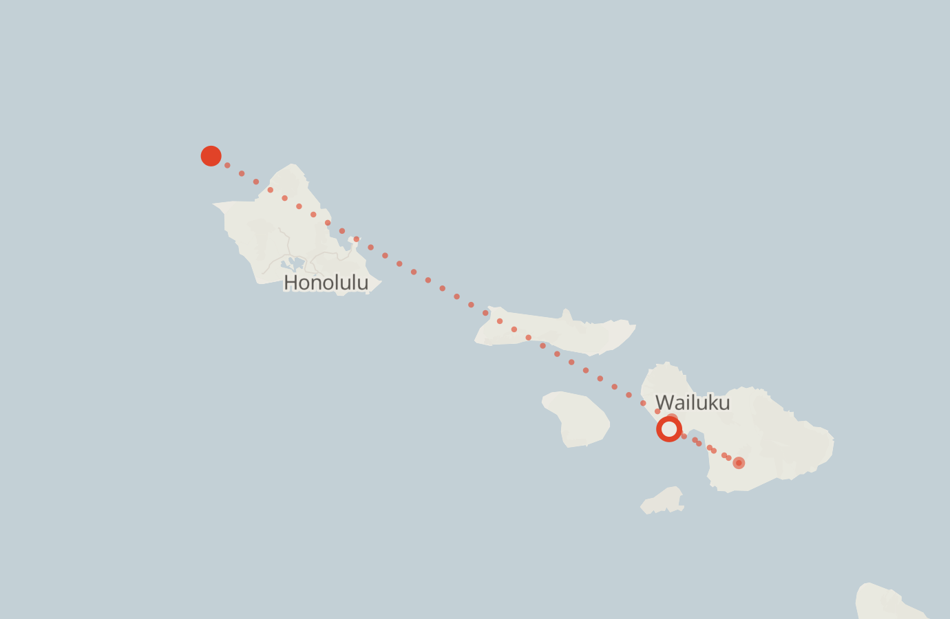 Activity map — real sighting points on an OpenStreetMap basemap