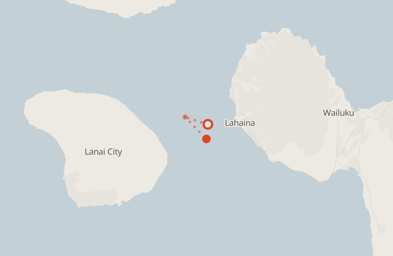 Activity map — real sighting points on an OpenStreetMap basemap