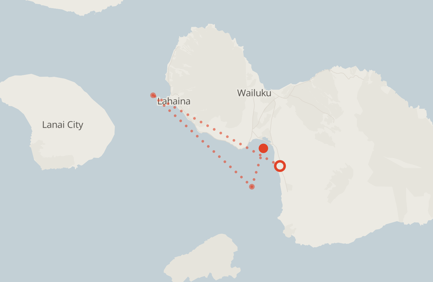 Activity map — real sighting points on an OpenStreetMap basemap