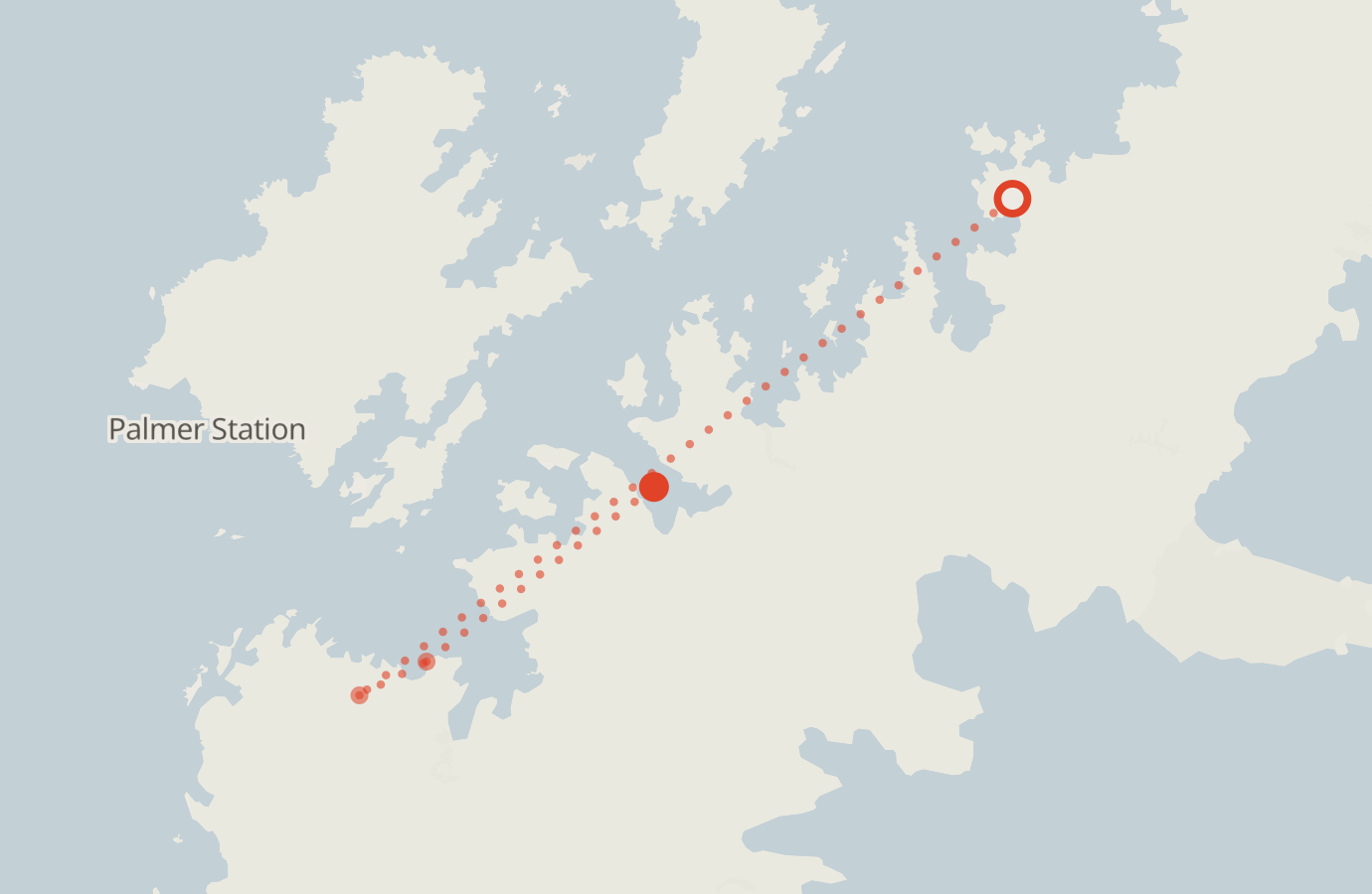 Activity map — real sighting points on an OpenStreetMap basemap