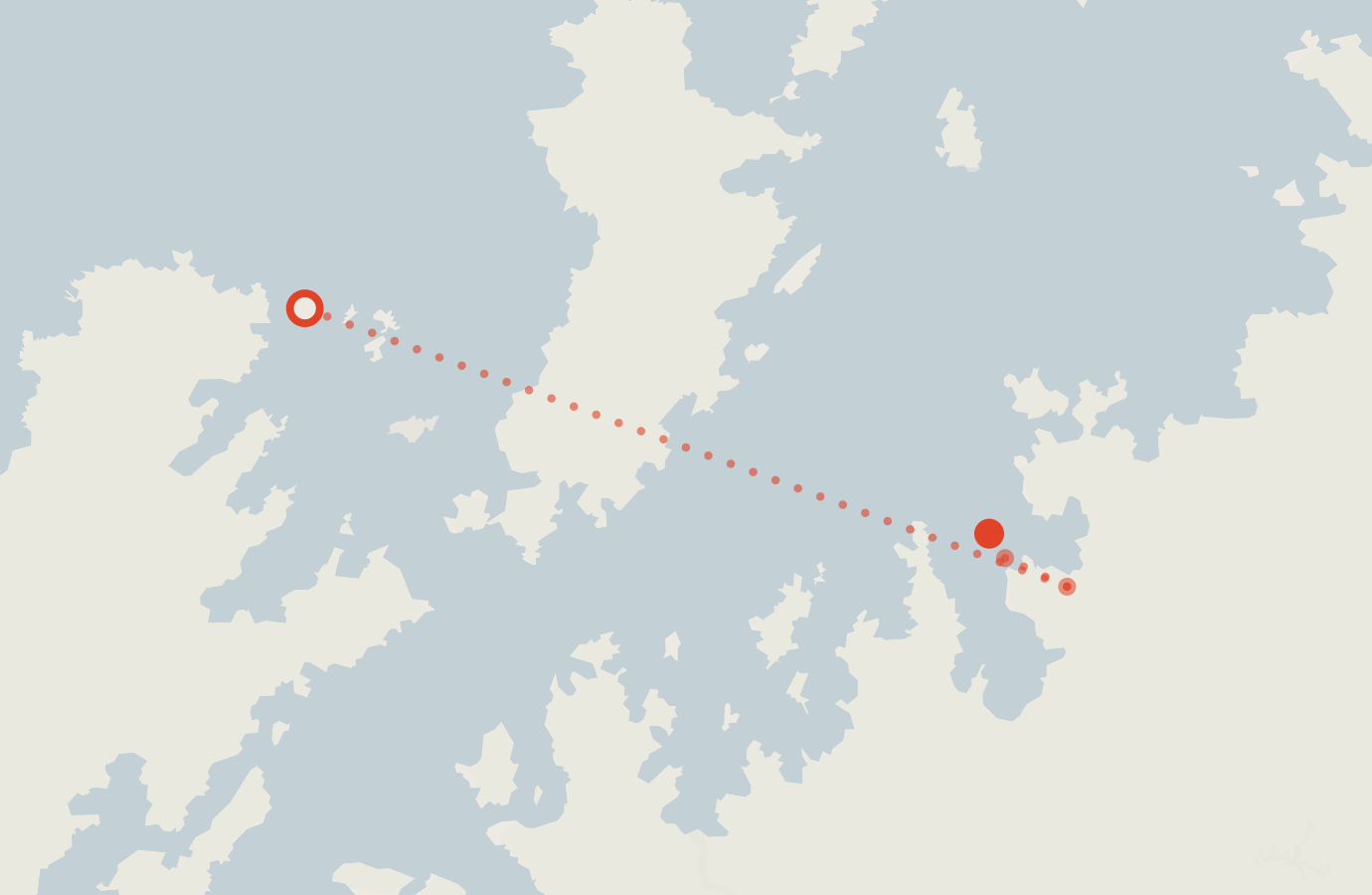 Activity map — real sighting points on an OpenStreetMap basemap