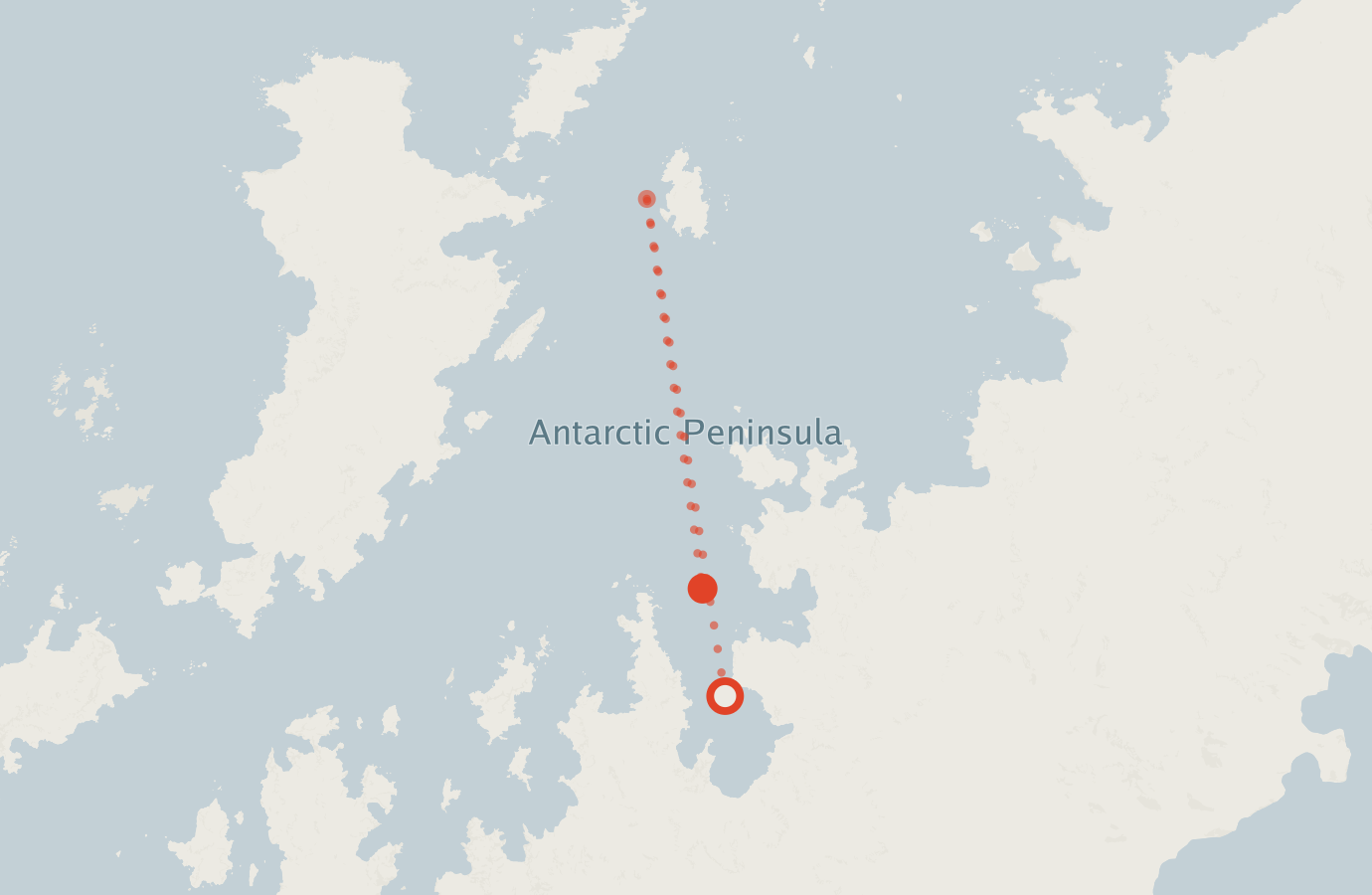 Activity map — real sighting points on an OpenStreetMap basemap