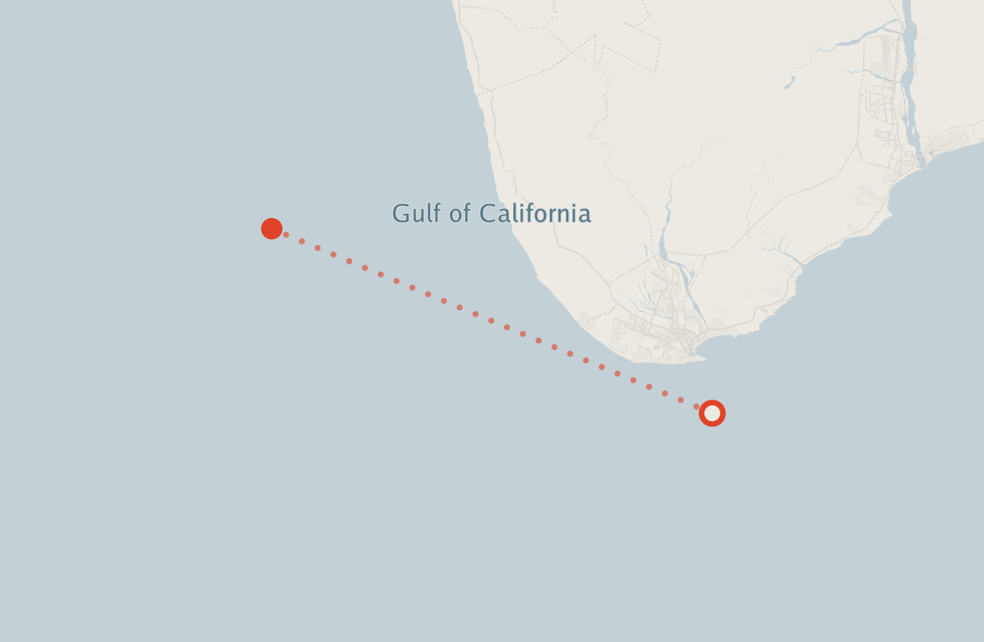 Activity map — real sighting points on an OpenStreetMap basemap