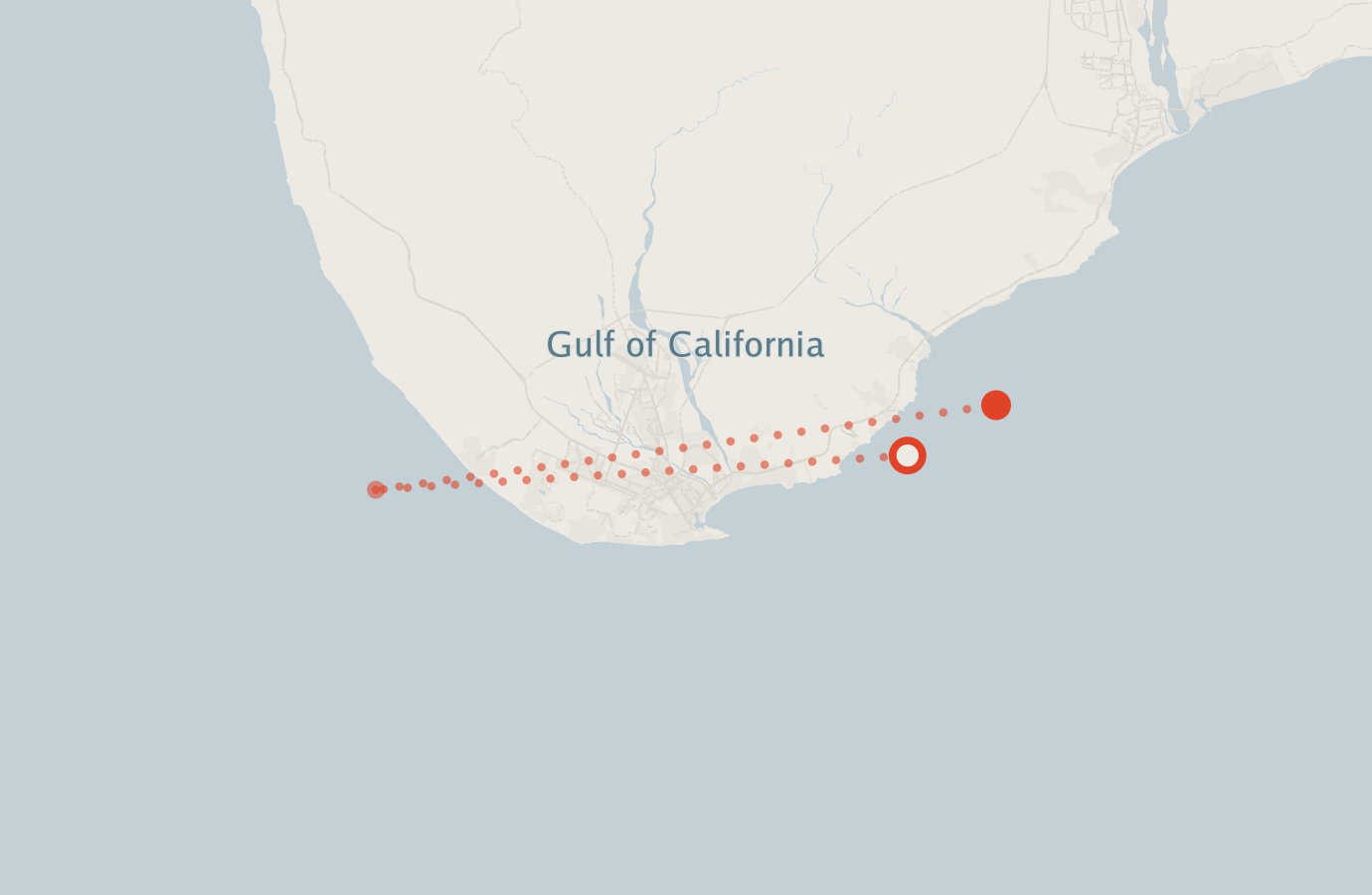 Activity map — real sighting points on an OpenStreetMap basemap