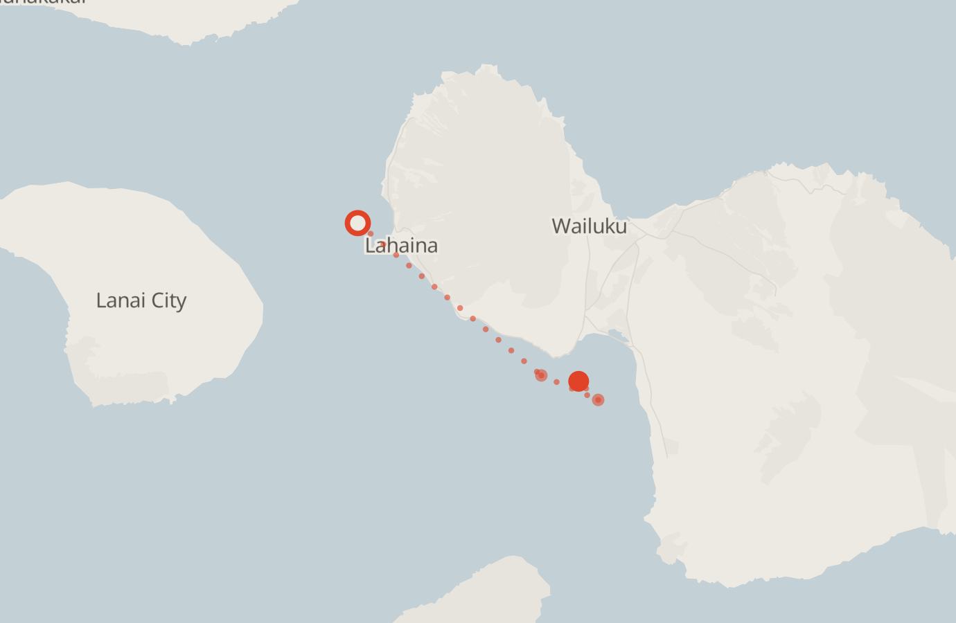 Activity map — real sighting points on an OpenStreetMap basemap